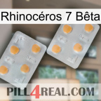 Rhinocéros 7 Bêta 25
